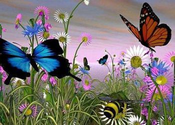 Həyatımızdakı kəpənək effekti, və onun nəticəsi